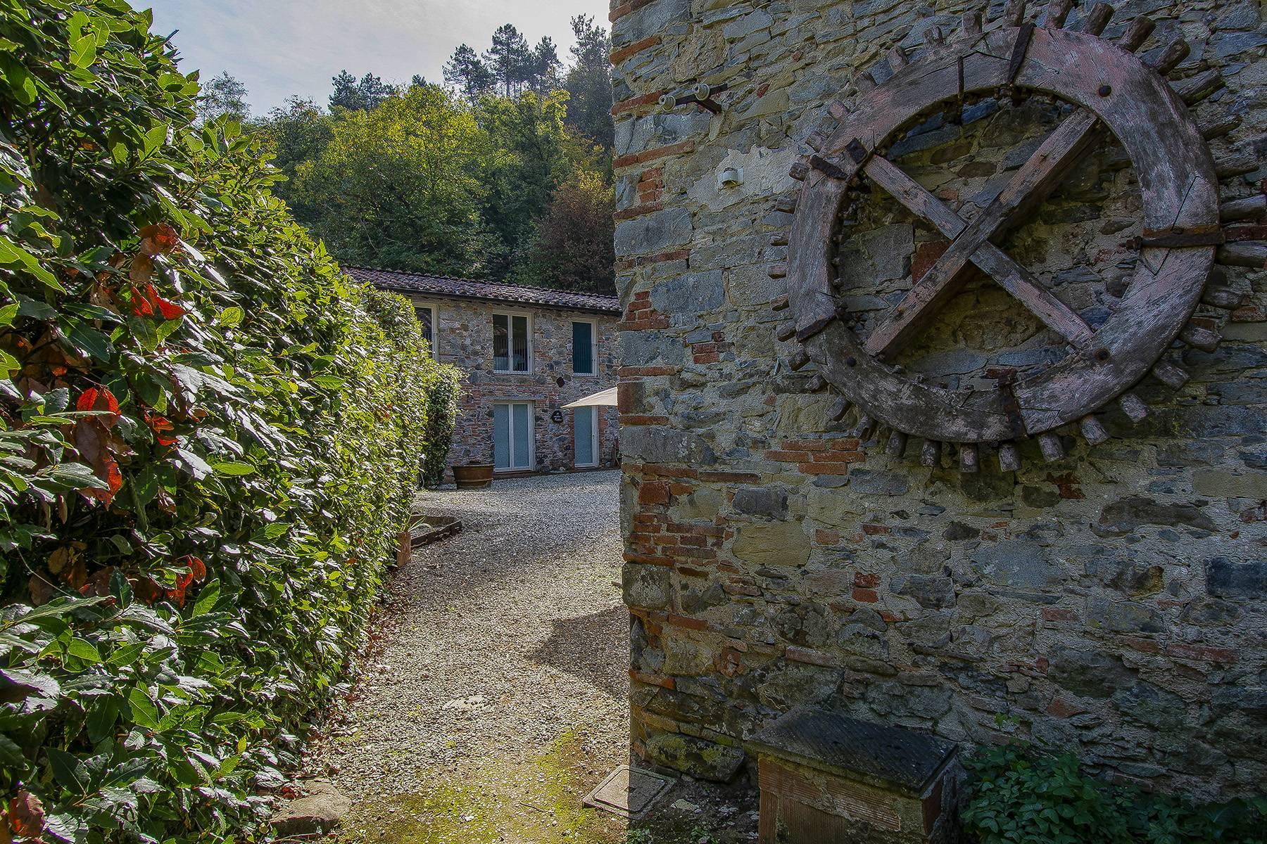 Bauernhaus aus einer alten Ölmühle auf den Hügeln von Lucca - 4