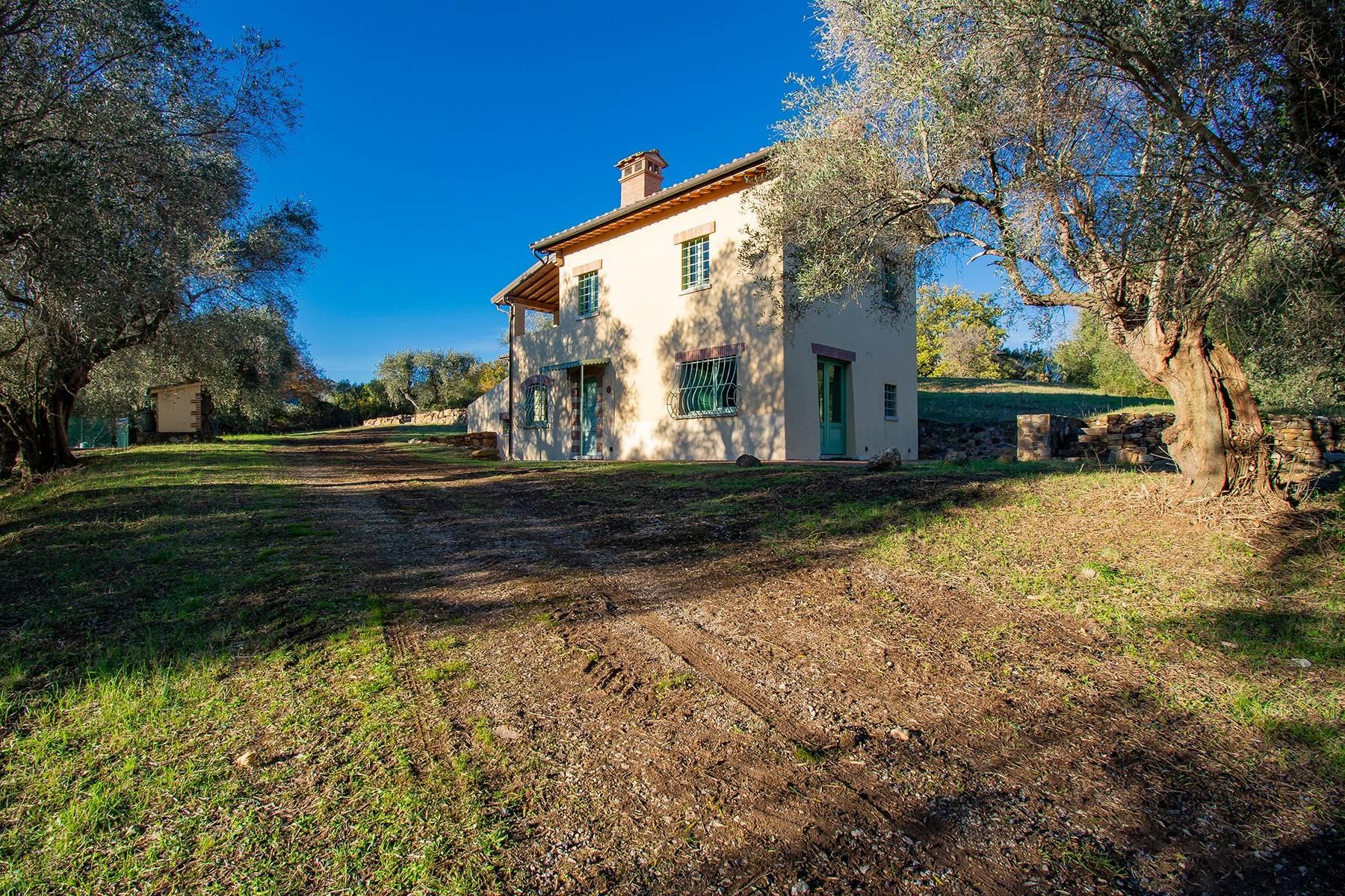Newly-built farmhouse nestled in the olive groves - 3