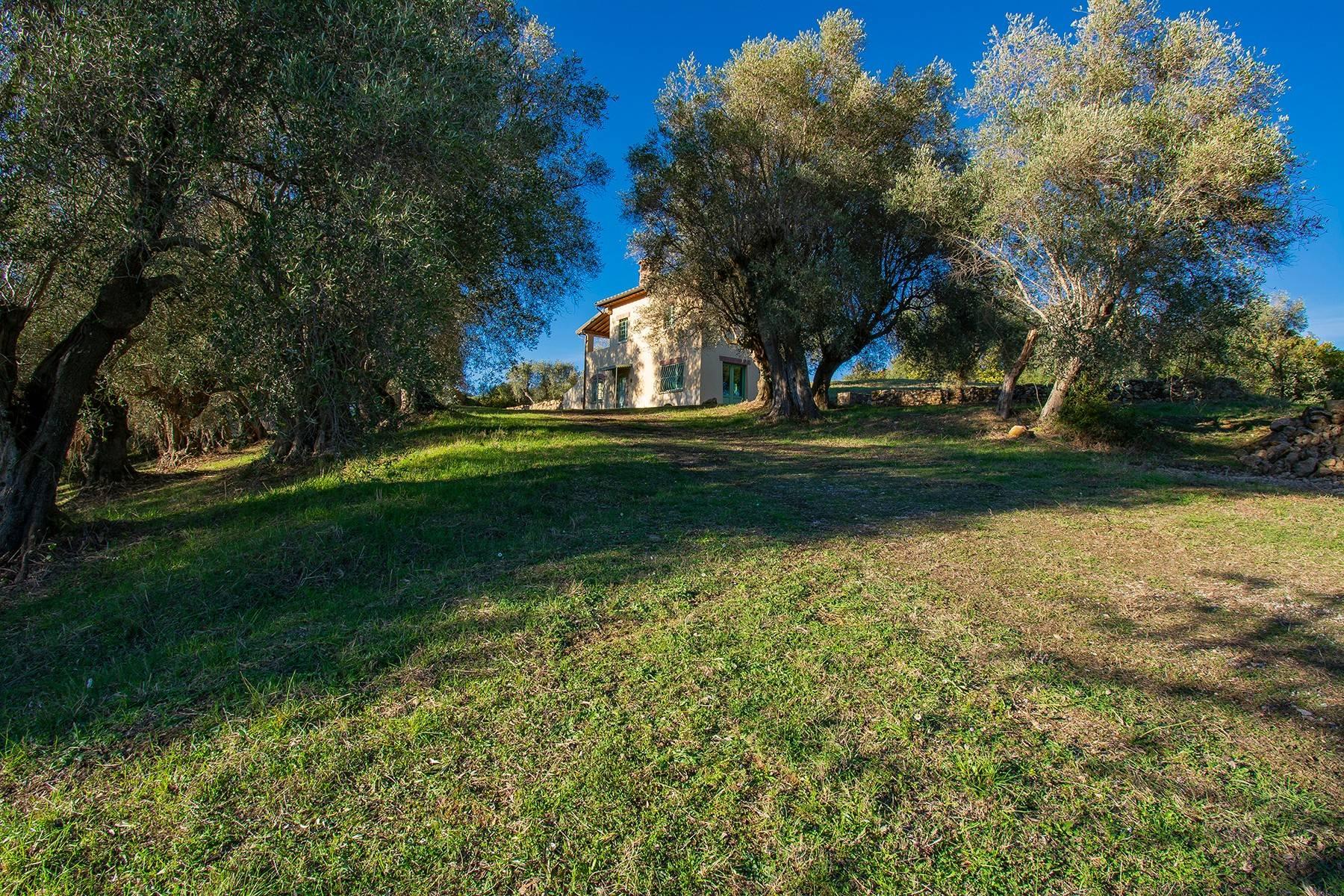 Недавно построенный фермерский дом в оливковых рощах - 25