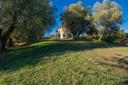 Nuovo casale di charme immerso negli ulivi, in vendita, Castiglione della Pescaia | Sotheby’s Realty Italy - 25