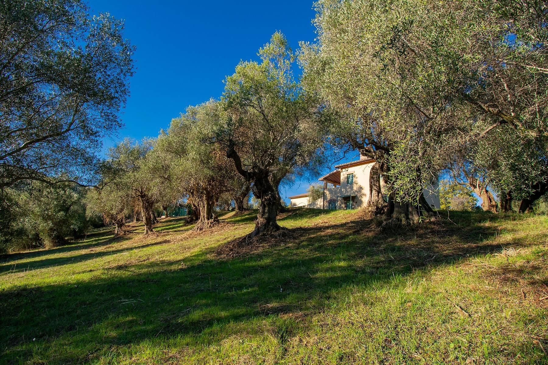 Недавно построенный фермерский дом в оливковых рощах - 24