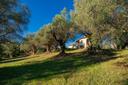 Nuovo casale di charme immerso negli ulivi, in vendita, Castiglione della Pescaia | Sotheby’s Realty Italy - 24
