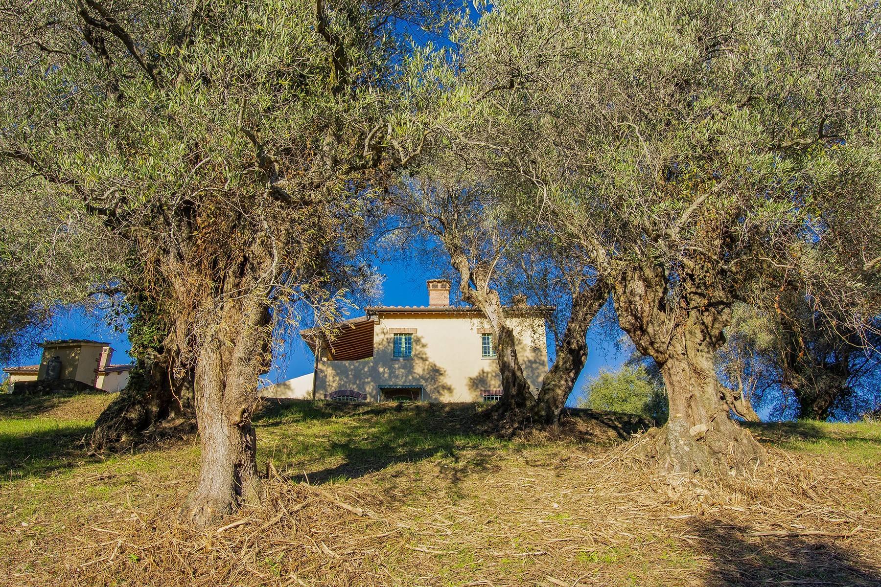 Недавно построенный фермерский дом в оливковых рощах - 4