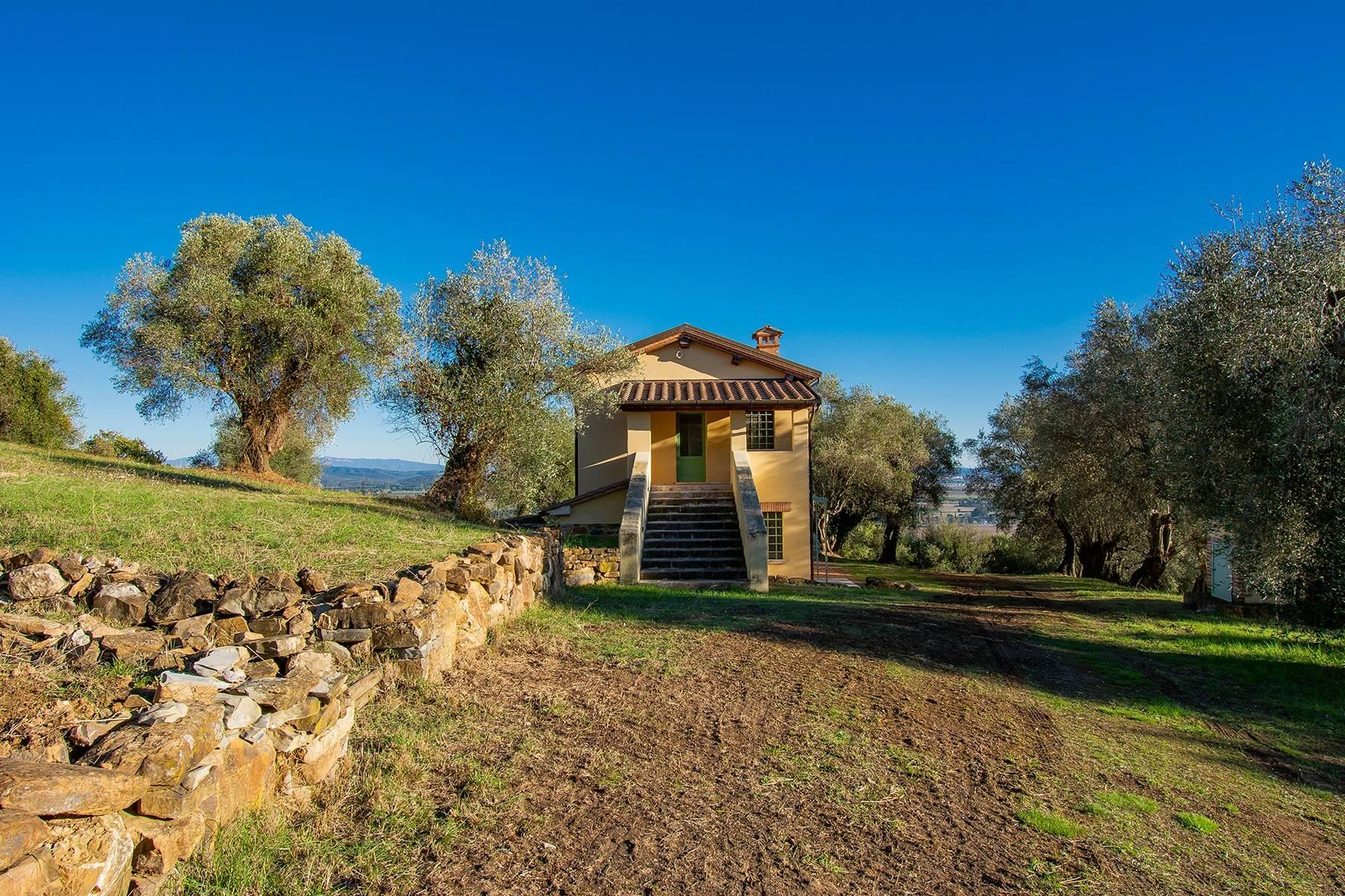 Недавно построенный фермерский дом в оливковых рощах - 8