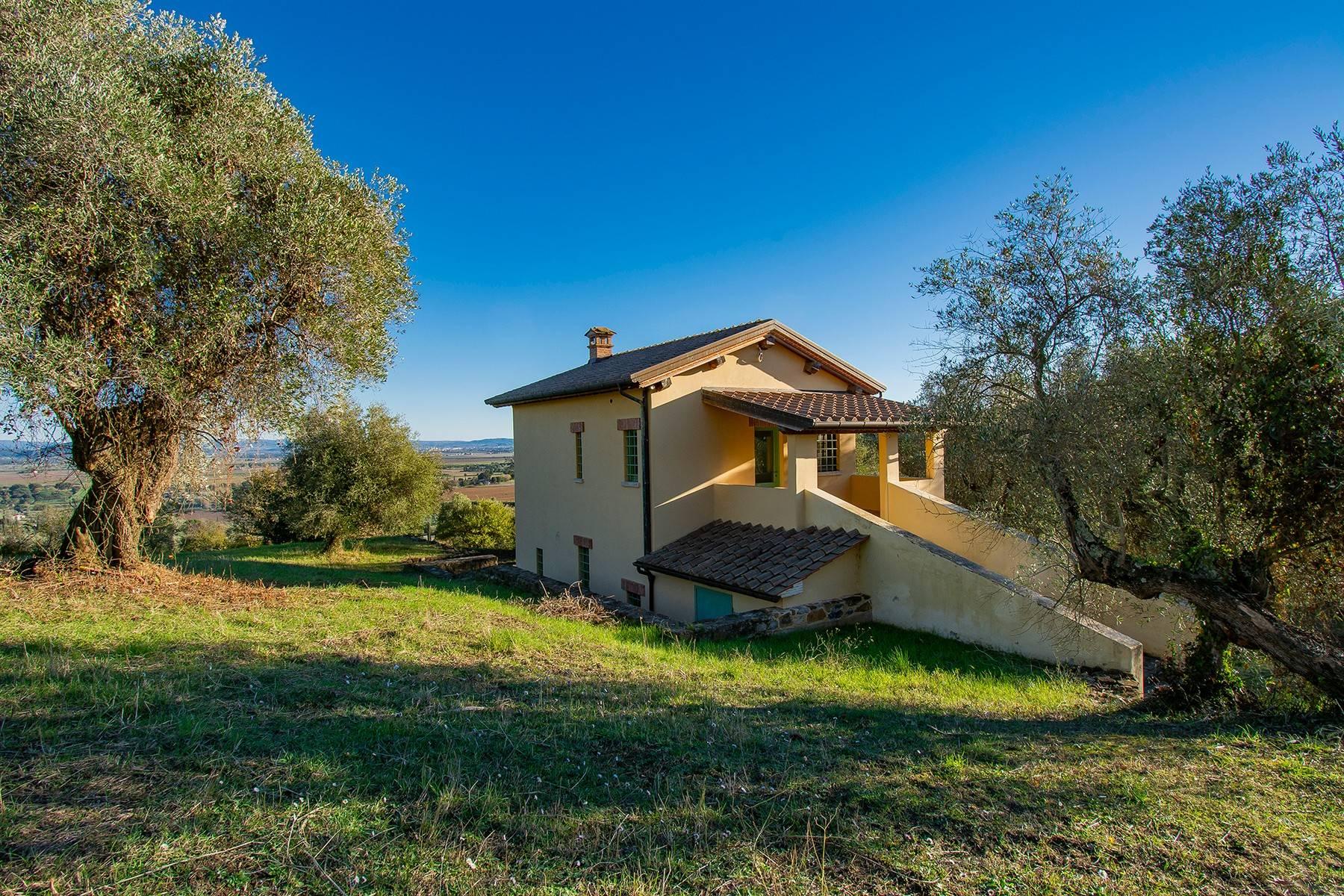 Недавно построенный фермерский дом в оливковых рощах - 5