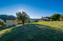 Nuovo casale di charme immerso negli ulivi, in vendita, Castiglione della Pescaia | Sotheby’s Realty Italy - 2