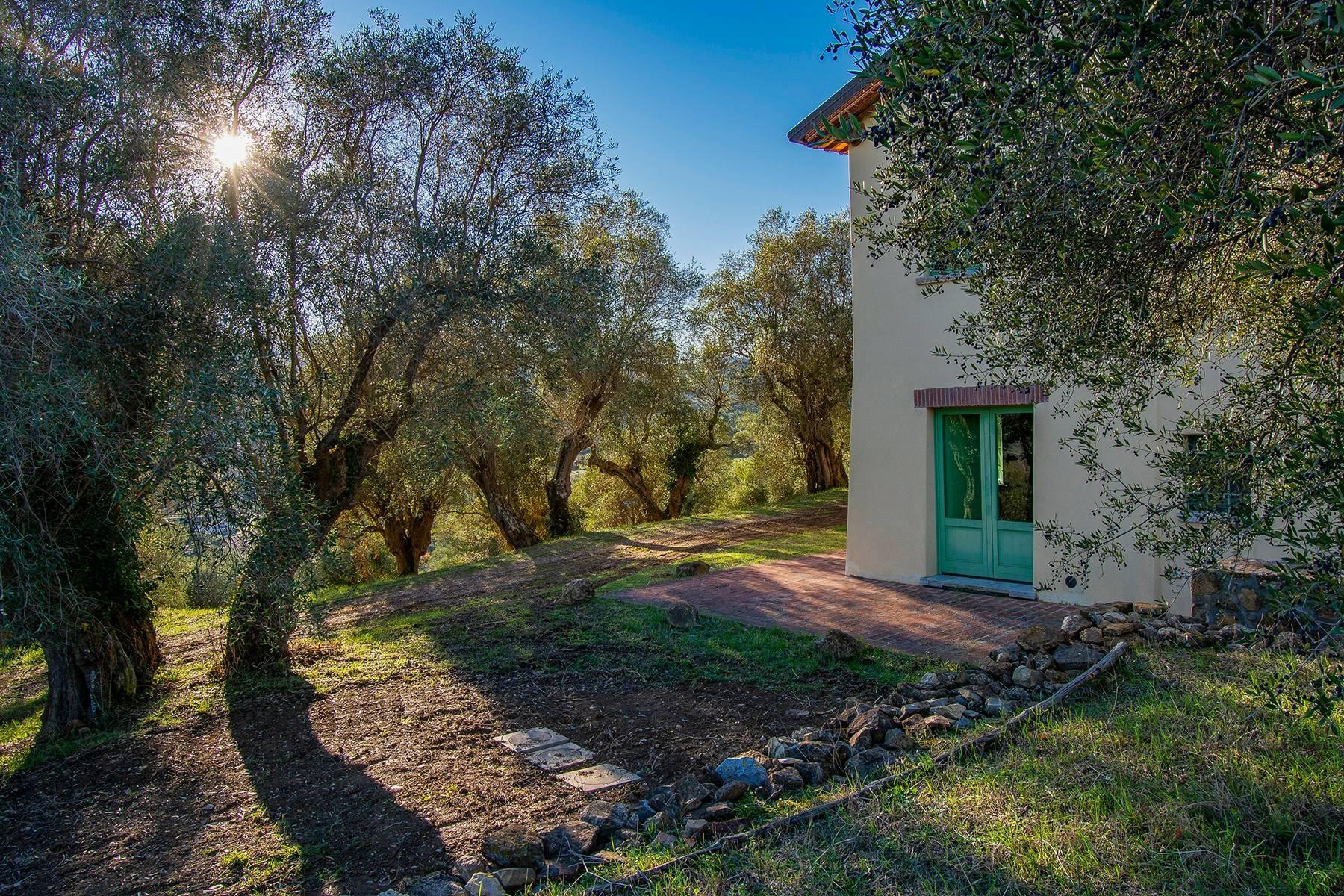 Недавно построенный фермерский дом в оливковых рощах - 23