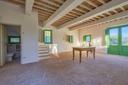Nuovo casale di charme immerso negli ulivi, in vendita, Castiglione della Pescaia | Sotheby’s Realty Italy - 11