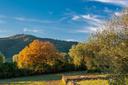 Nuovo casale di charme immerso negli ulivi, in vendita, Castiglione della Pescaia | Sotheby’s Realty Italy - 16