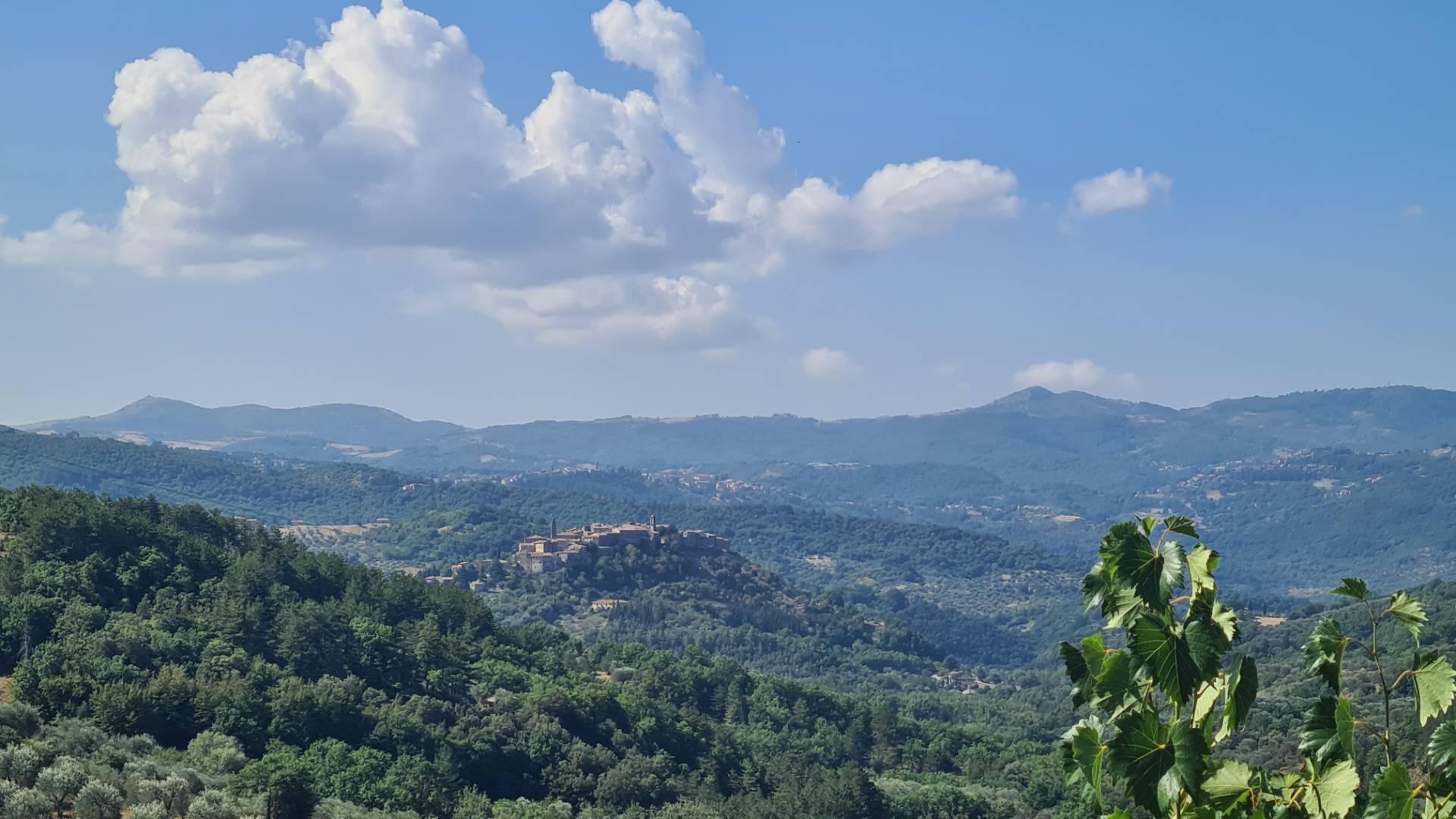 Wunderschönes Anwesen in Seggiano, 20 Minuten von Montalcino entfernt - 35