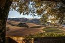 Tipica villa toscana a Montalcino, in vendita, Montalcino | Sotheby’s Realty Italy - 5