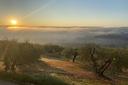 Autentico Country Resort di lusso nelle campagne toscane, in vendita, San Gimignano | Sotheby’s Realty Italy - 21