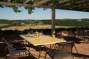 Autentico Country Resort di lusso nelle campagne toscane, in vendita, San Gimignano | Sotheby’s Realty Italy - 35