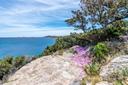 Porto Cervo Cala Corallina Splendido appartamento a picco sul mare, in vendita, Arzachena | Sotheby’s Realty Italy - 2