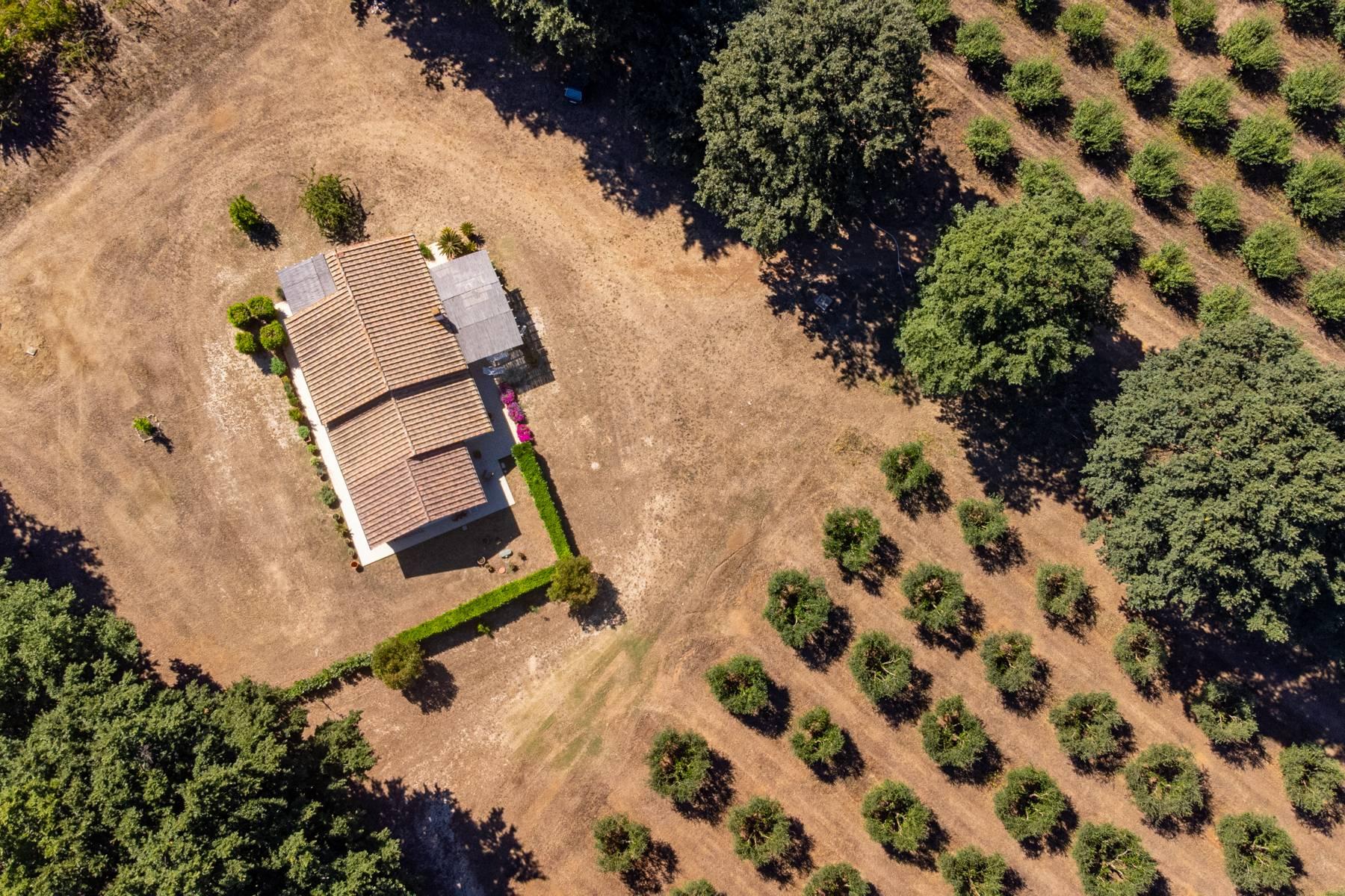 Harmonious farmhouse surrounded by greenery in the Maremma - 21