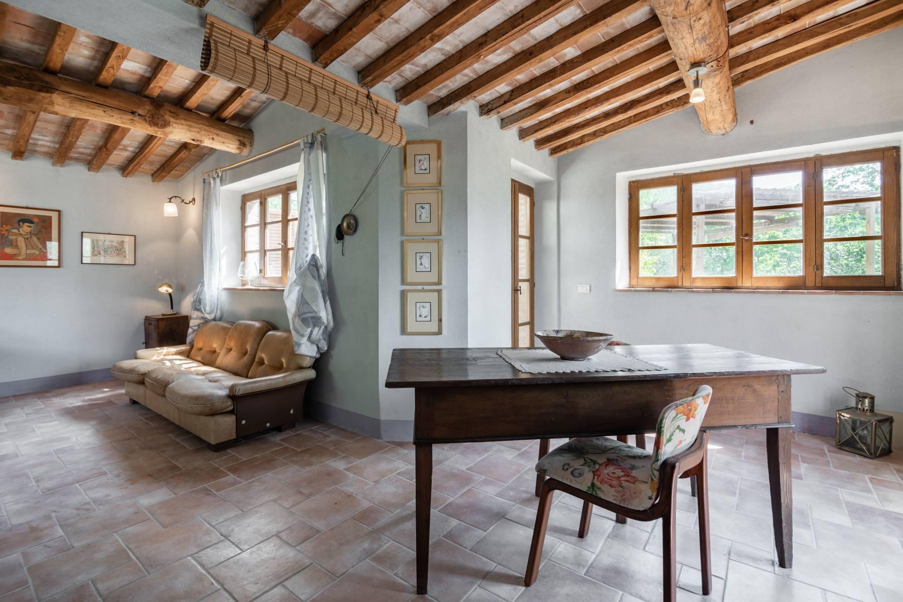Magnifique maison de campagne à Seggiano à 20 min de Montalcino - 9
