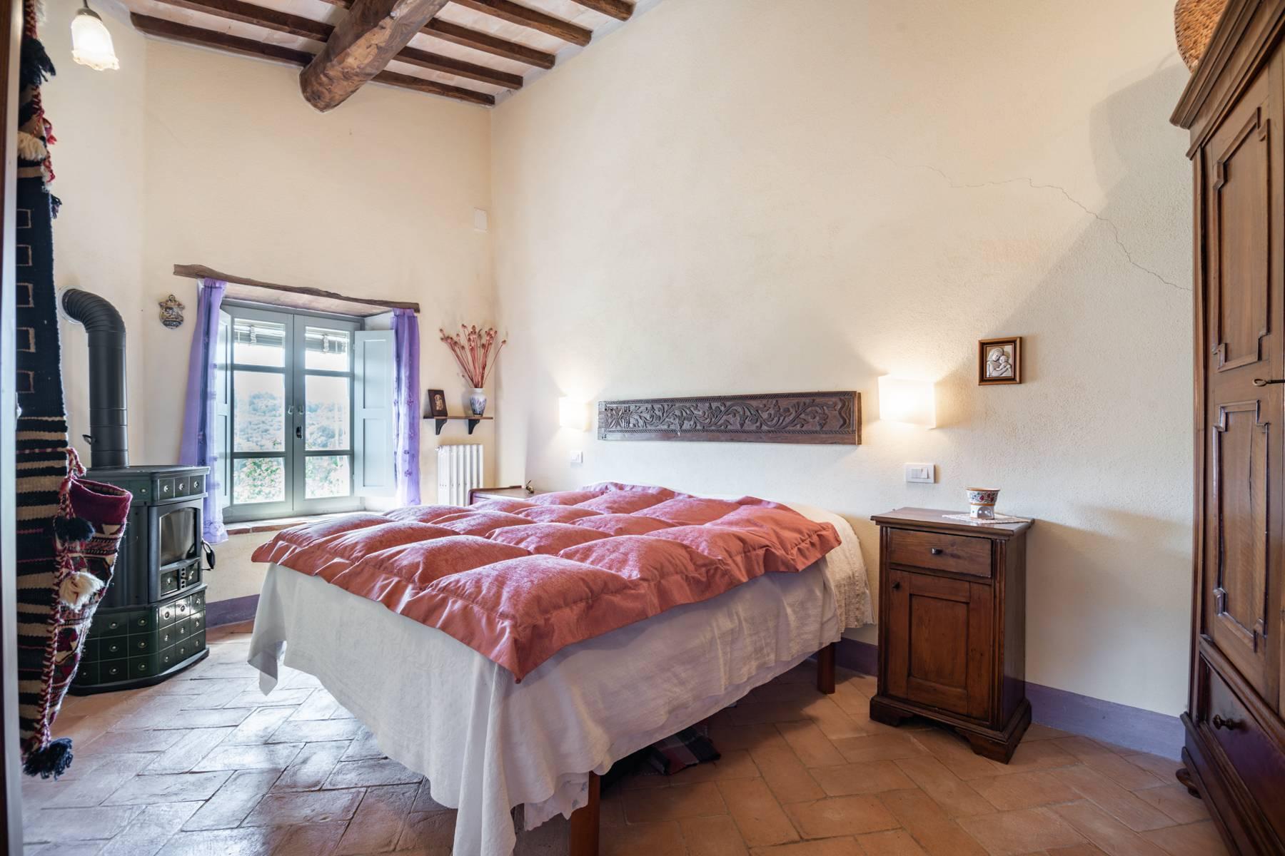 Wonderful country house in Seggiano 20 min from Montalcino - 19