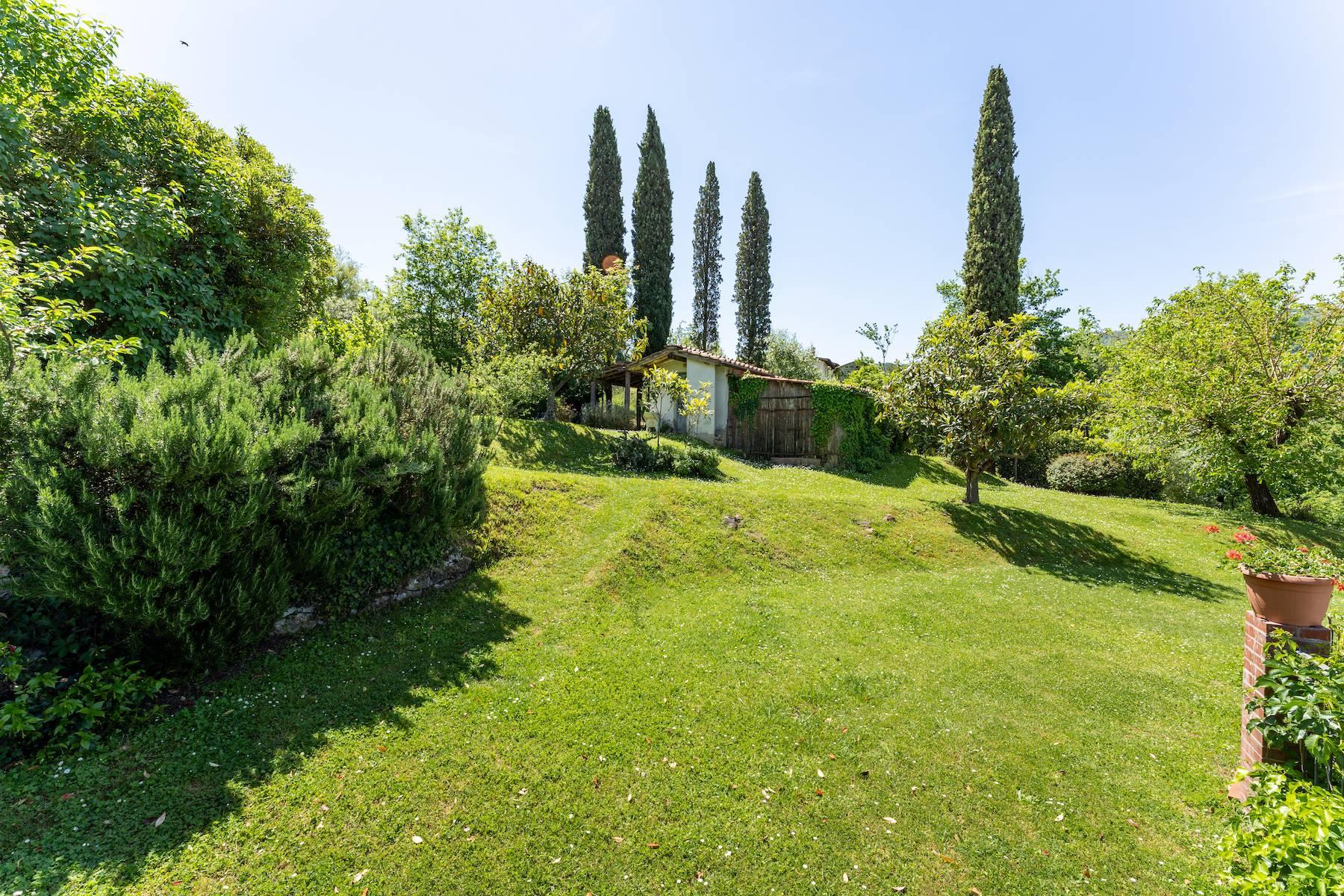 Ferme avec piscine sur les collines de Lucca - 30