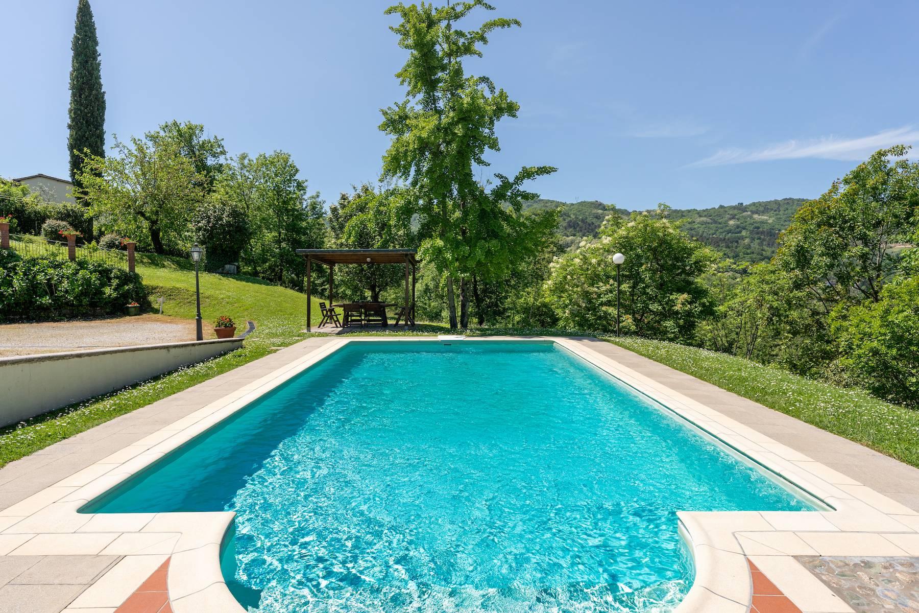 Ferme avec piscine sur les collines de Lucca - 6