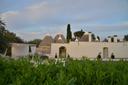 Elegante villa di design recuperata da un antico Trullo, in affitto, Ostuni | Sotheby’s Realty Italy - 14