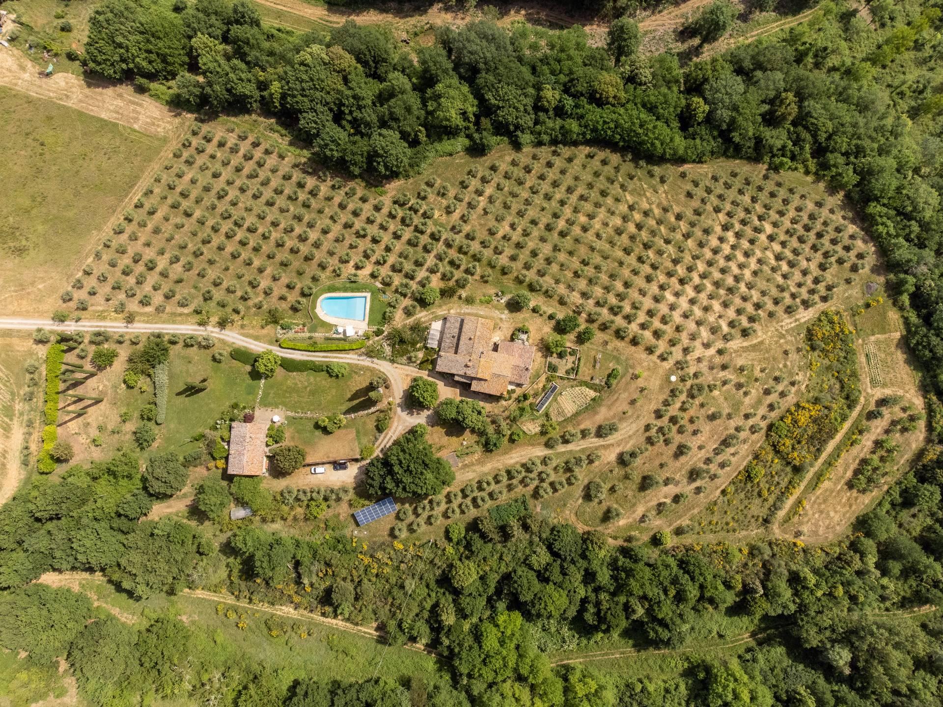 Wunderschönes Bauernhaus im Chianti Gebiet - 36