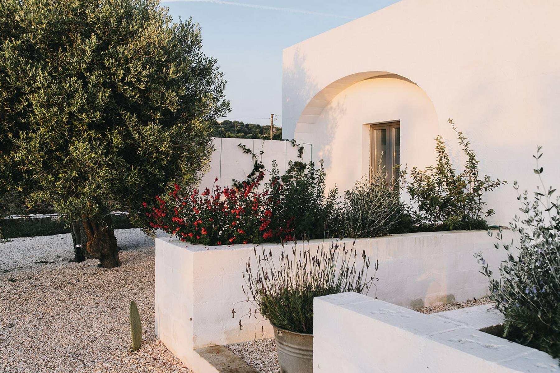 A modern farmhouse grounded in history in the heart of Puglia - 2