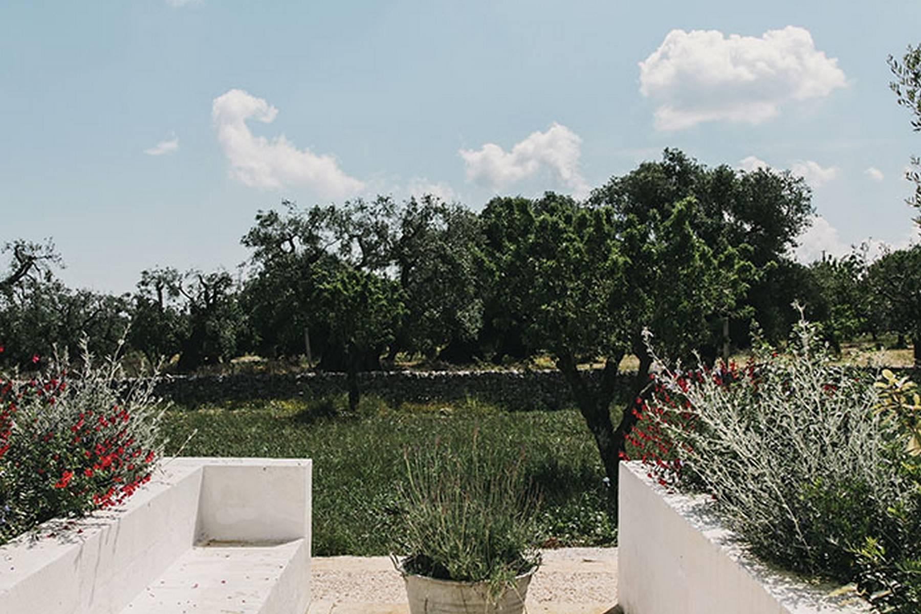 A modern farmhouse grounded in history in the heart of Puglia - 17