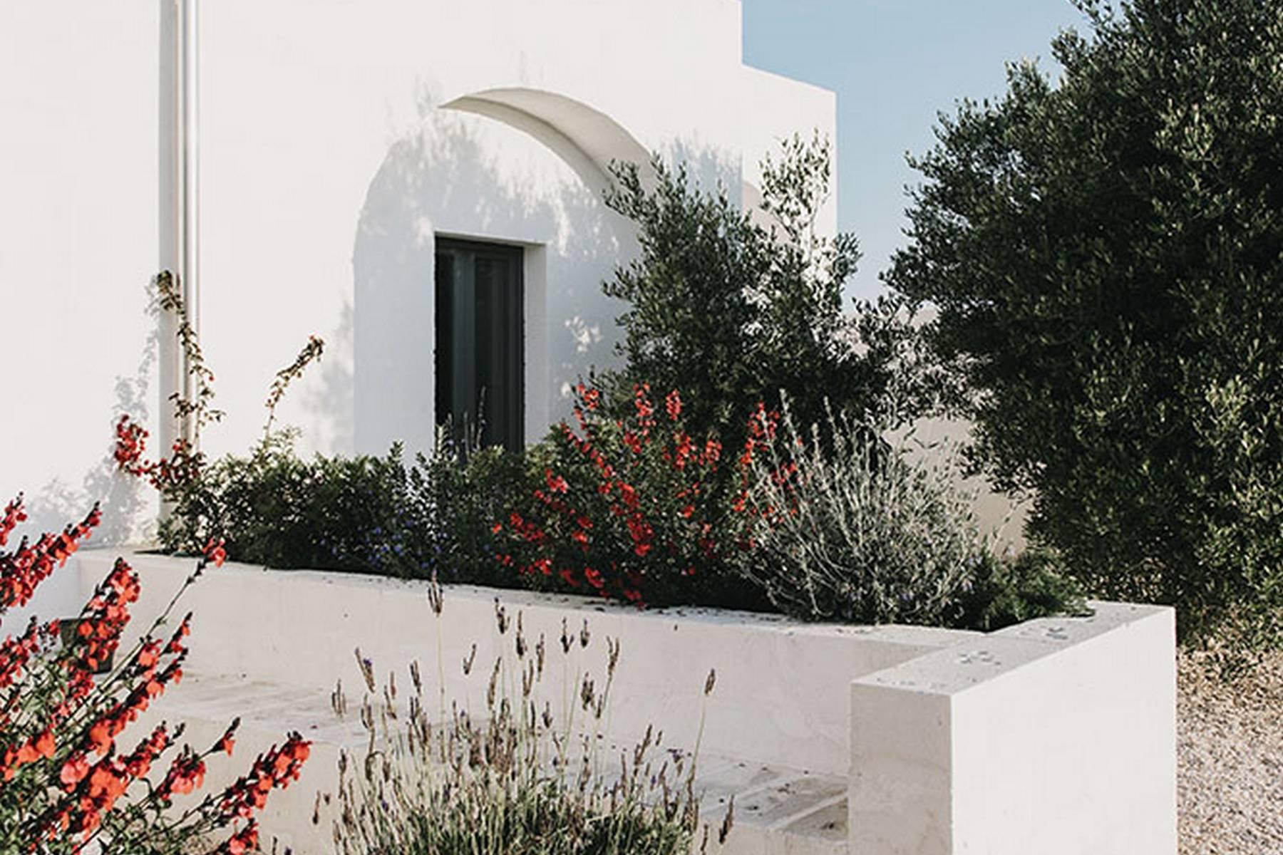 A modern farmhouse grounded in history in the heart of Puglia - 18
