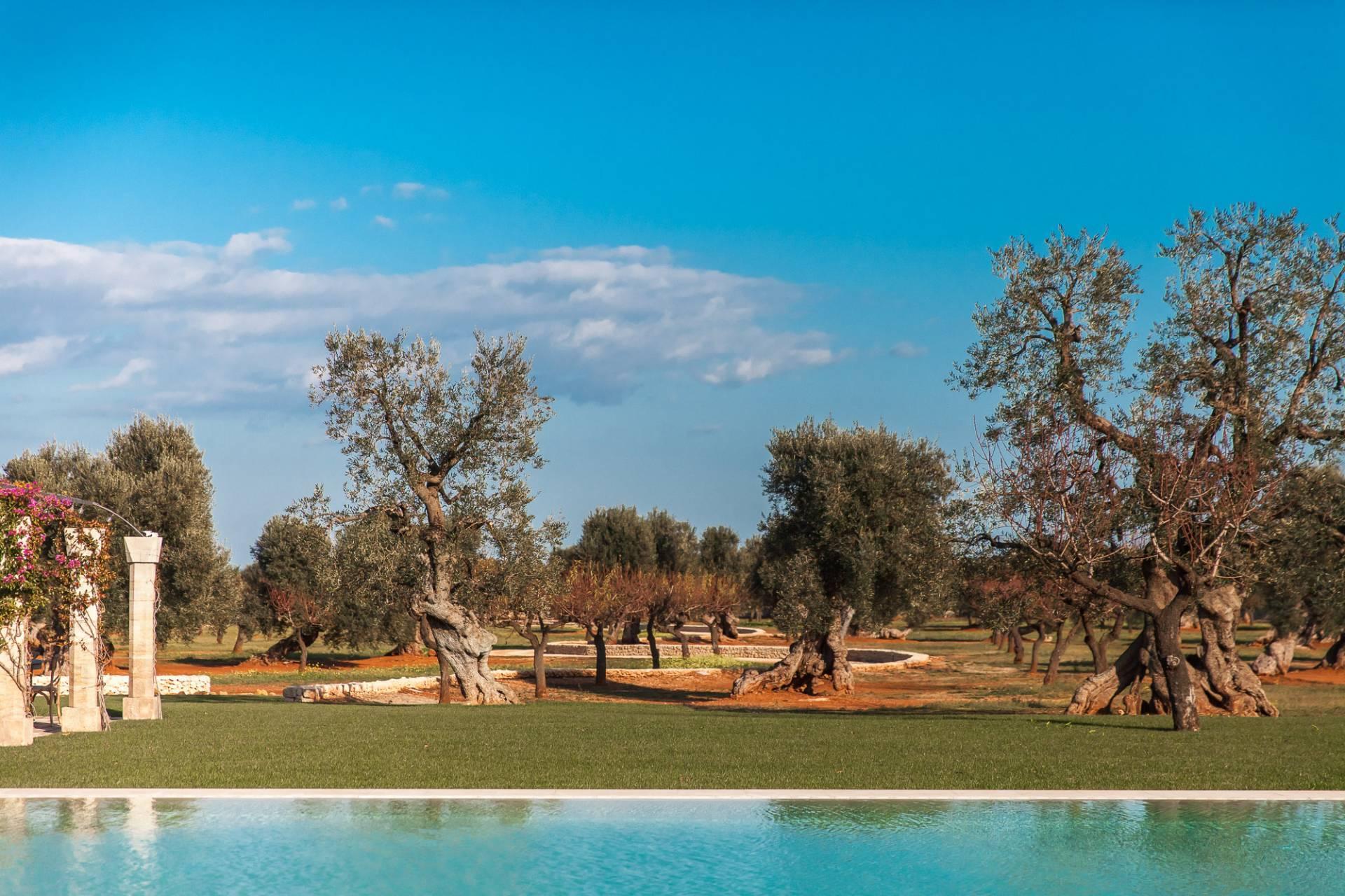 A historic estate with modern luxury in the heart of Puglia - 14