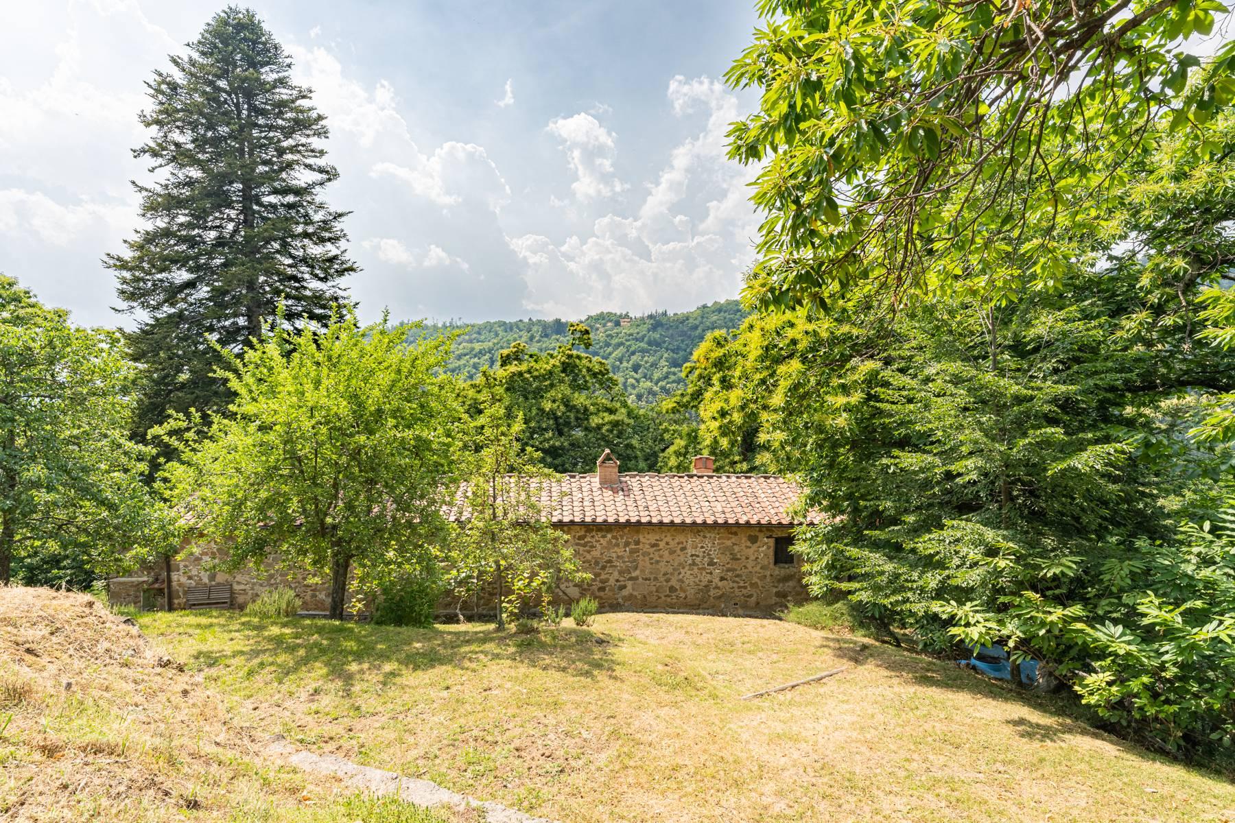 Romantisches Bauernhaus auf den Hügeln nördlich von Lucca - 31