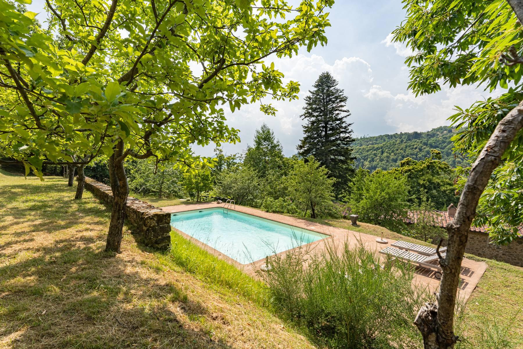 Romantic Farmhouse on the hills north of Lucca - 3