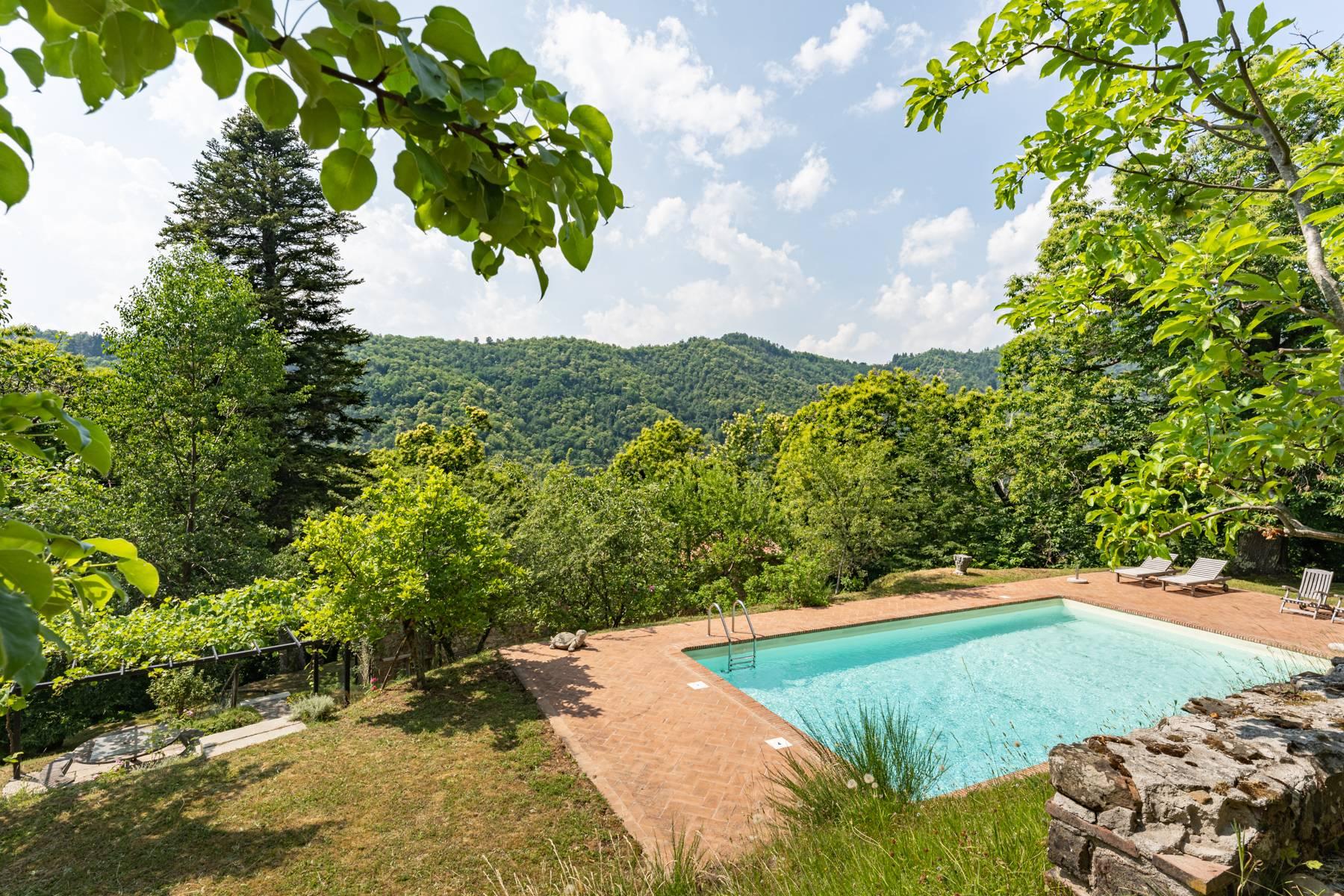 Romantic Farmhouse on the hills north of Lucca - 25
