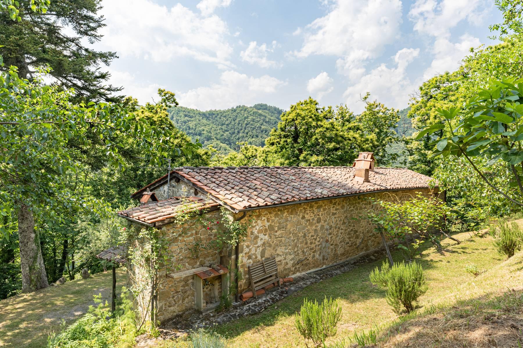Romantisches Bauernhaus auf den Hügeln nördlich von Lucca - 25