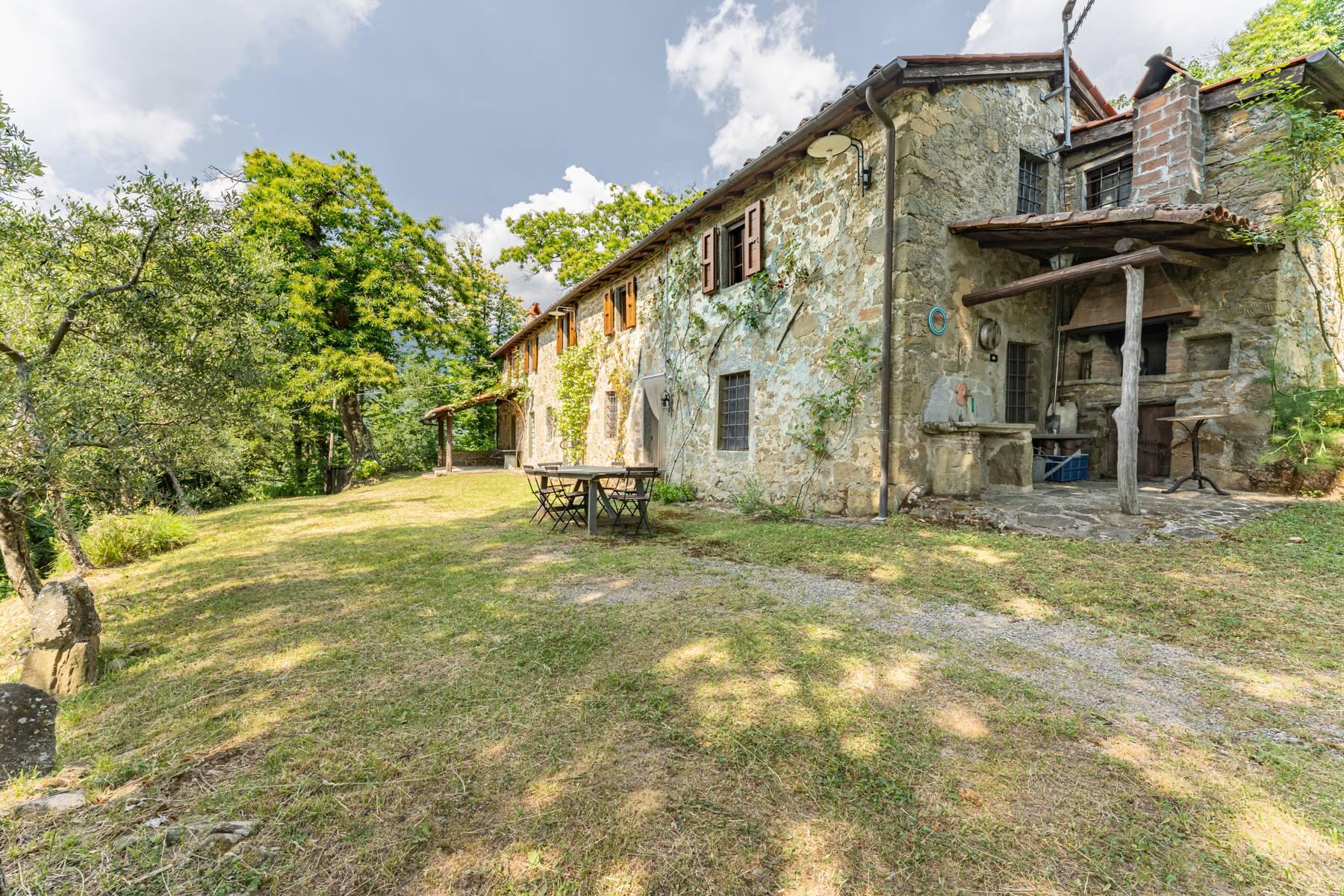 Romantisches Bauernhaus auf den Hügeln nördlich von Lucca - 33