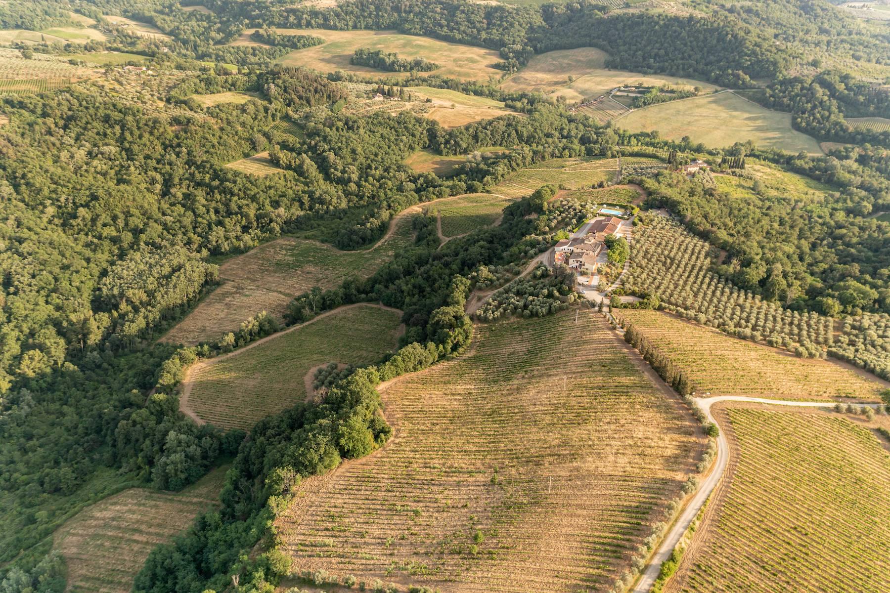 Splendida tenuta vinicola di 100 ettari nel cuore del Chianti - 25
