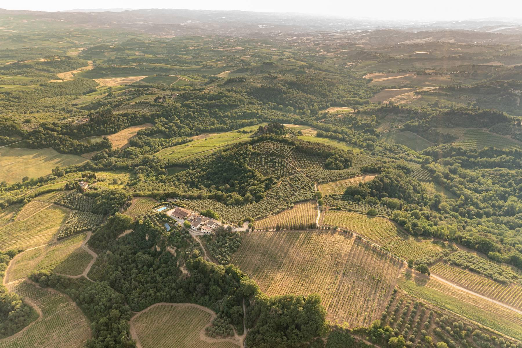 Splendida tenuta vinicola di 100 ettari nel cuore del Chianti - 26
