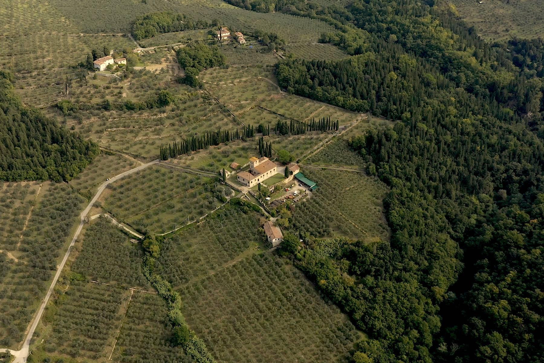 Grande villa padronale d'epoca nella più rinomata zona olearia vicino a Firenze - 14