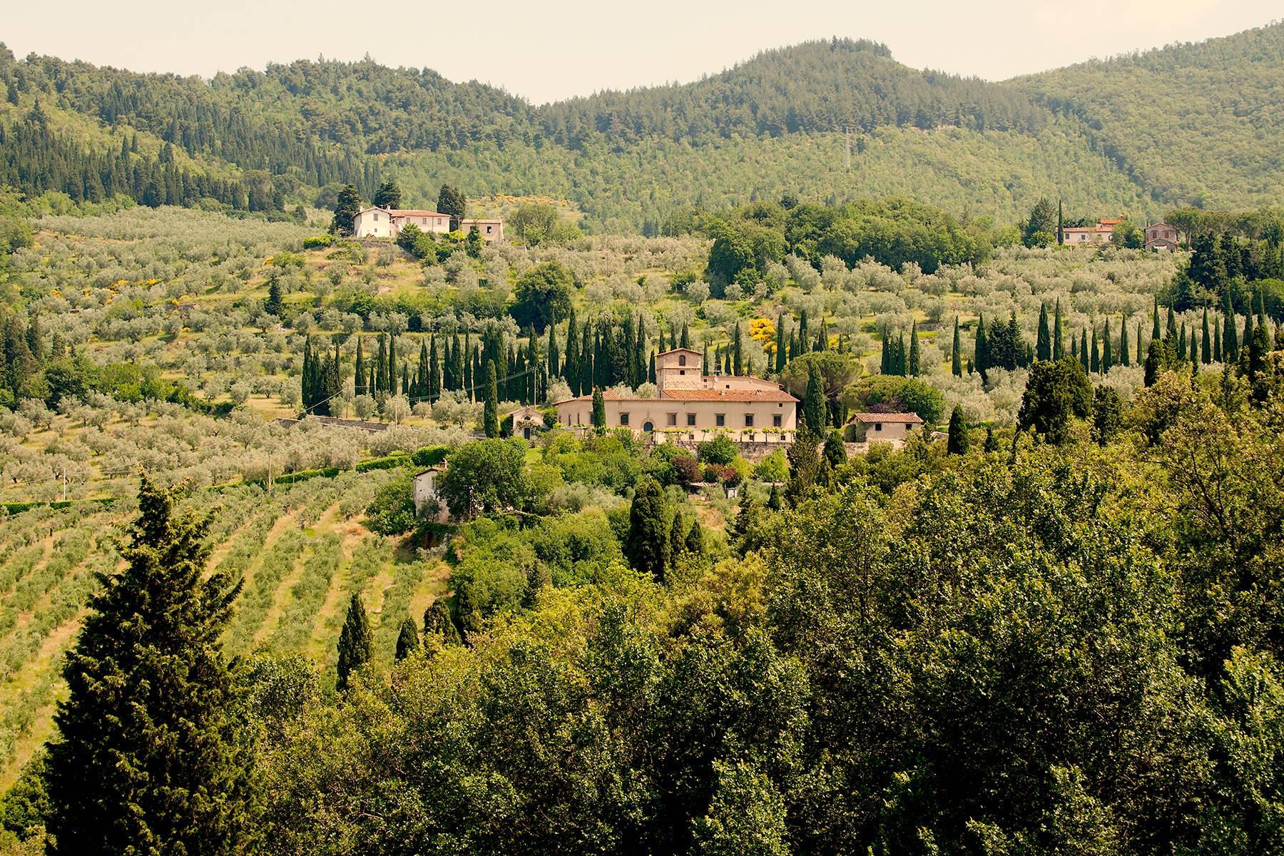 Large period farmhouse in the most renowned olive production area close to Florence - 5