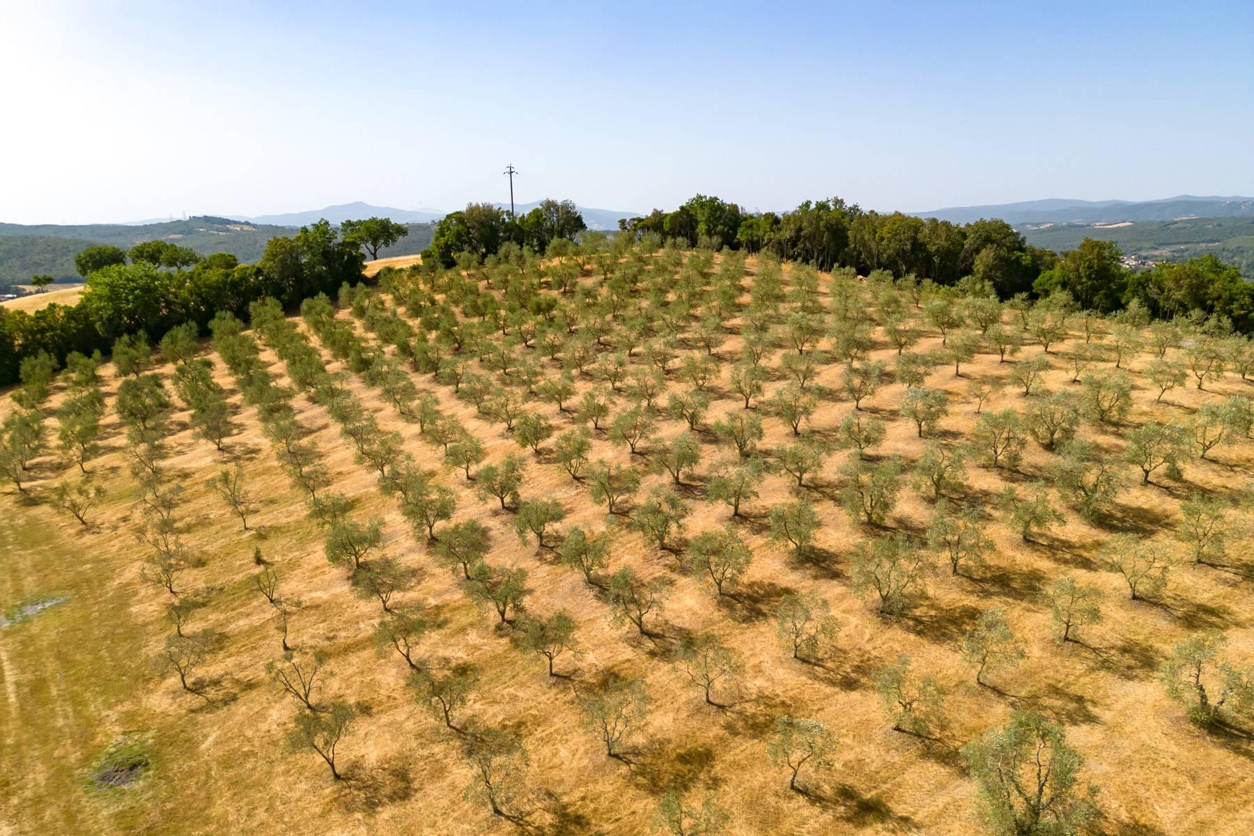 One-of-a-kind Hunting Reserve in Maremma - 18