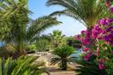 Kardiba Luxury Oasis Estate nella riserva naturale di Pantelleria, in affitto, Pantelleria | Sotheby’s Realty Italy - 4