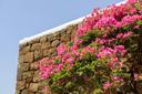 Kardiba Luxury Oasis Estate nella riserva naturale di Pantelleria, in affitto, Pantelleria | Sotheby’s Realty Italy - 18