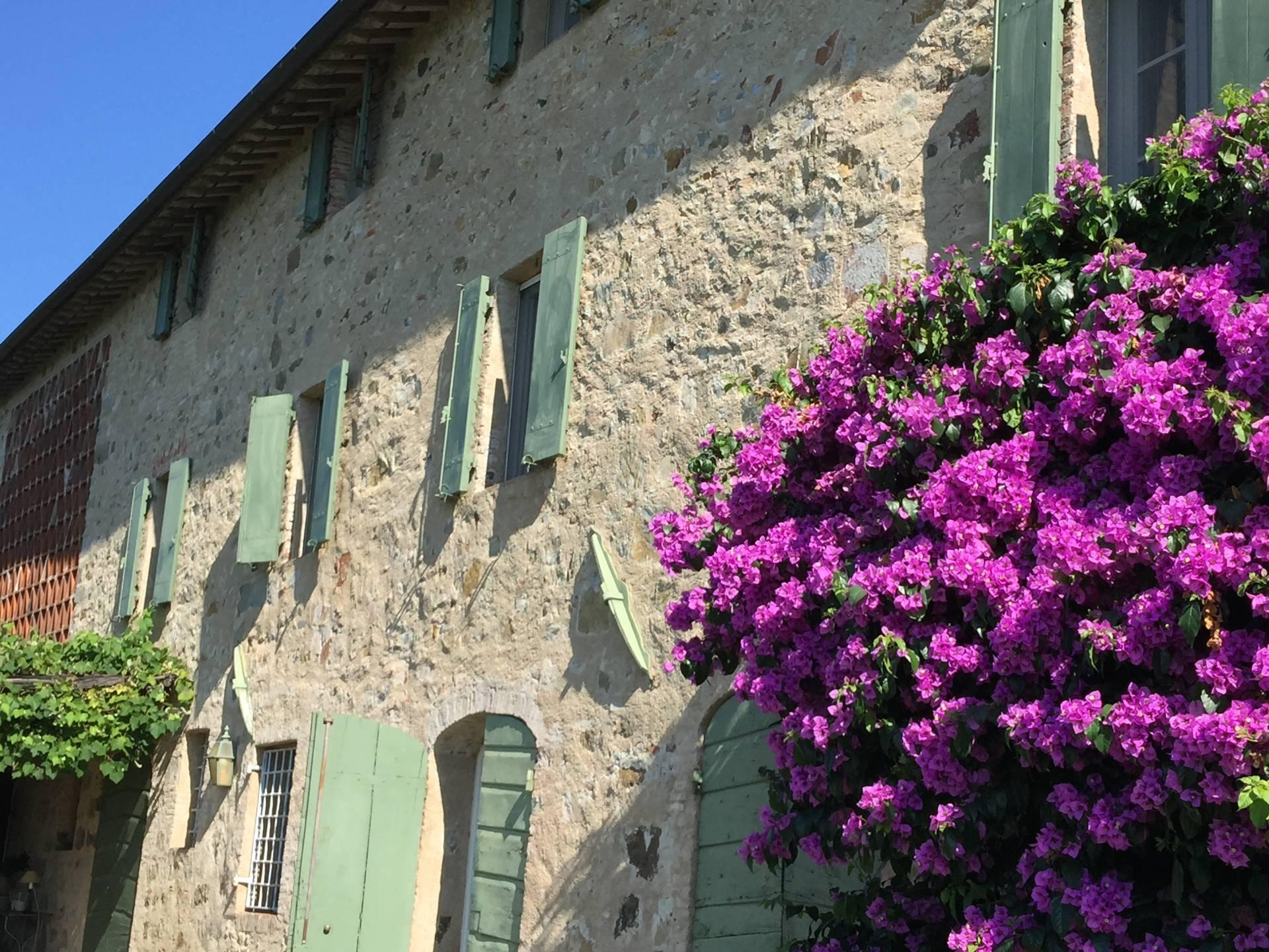 Villa Pulicara - luxurious farmhouse in the Tuscan countryside - 8