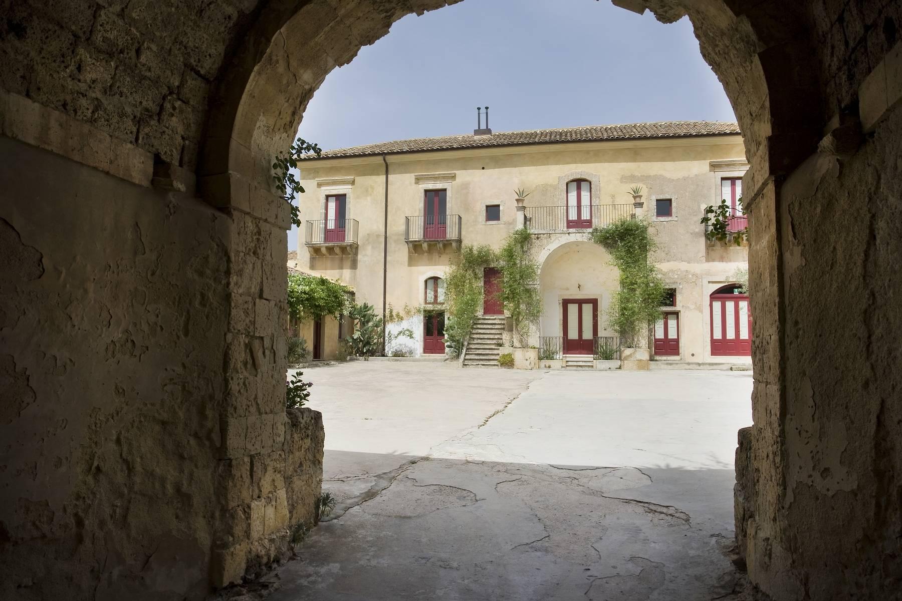 An enchanting villa immersed in vineyards and olive trees - 4