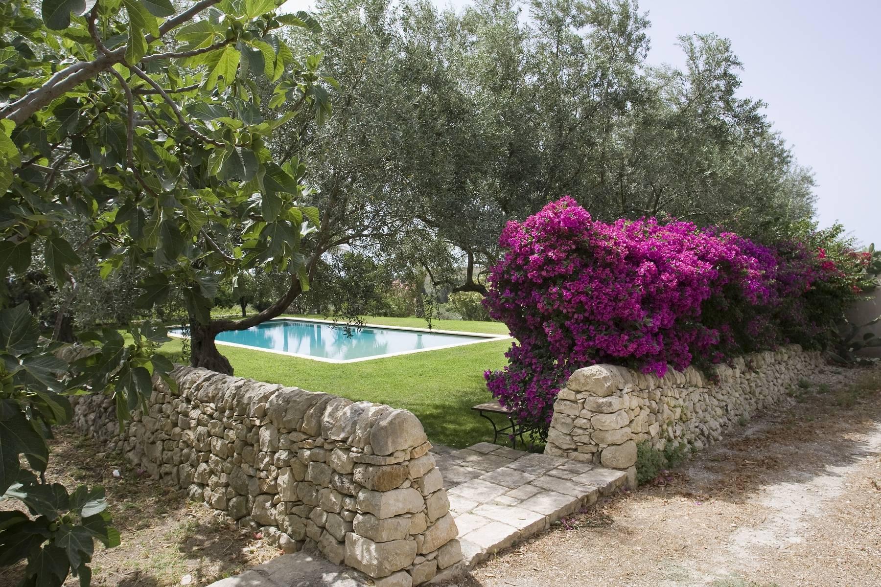 An enchanting villa immersed in vineyards and olive trees - 14