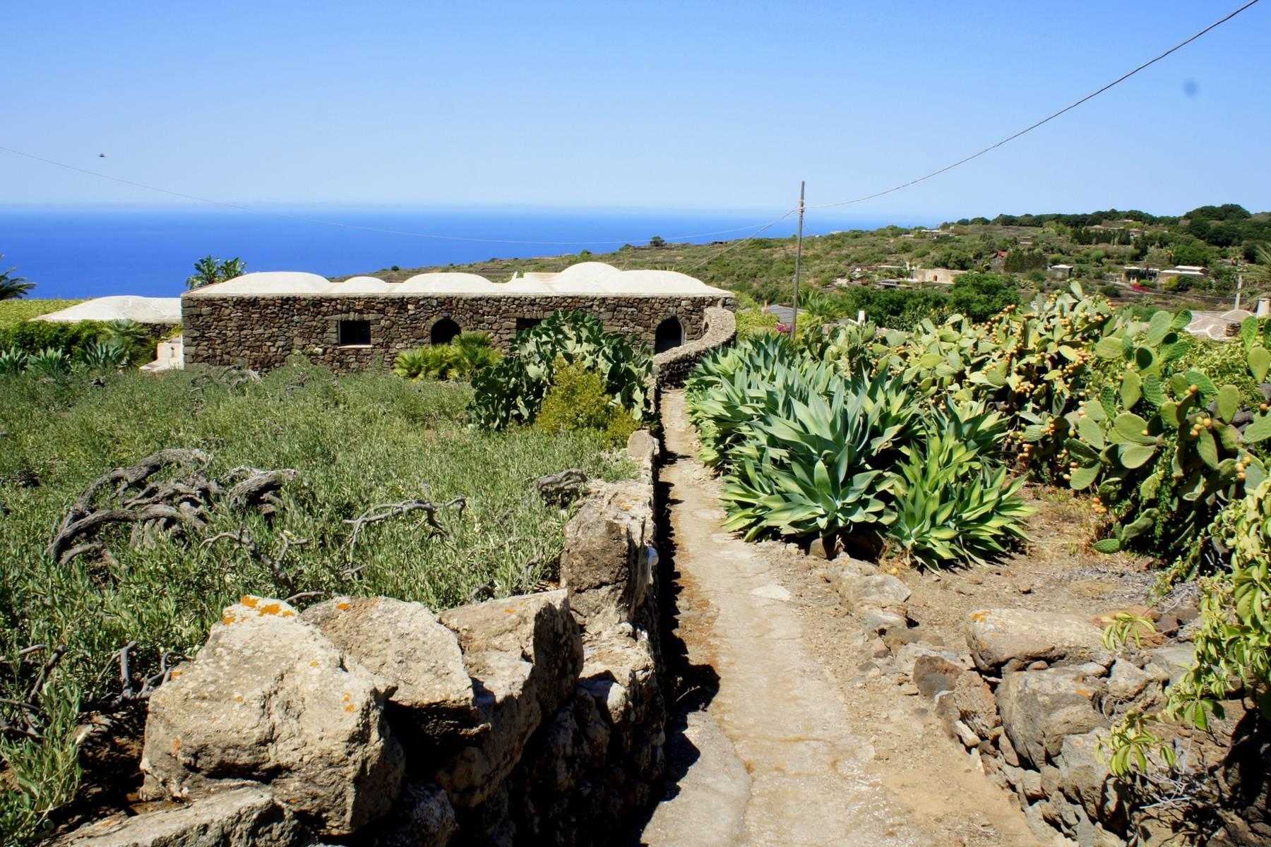 Lorsque la nature rencontre le luxe au cur dun Dammuso traditionnel de Pantelleria  - 2