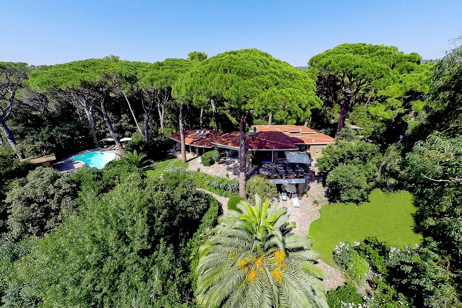 Beautiful villa in the middle of a pine tree forest and by the seaside - 3