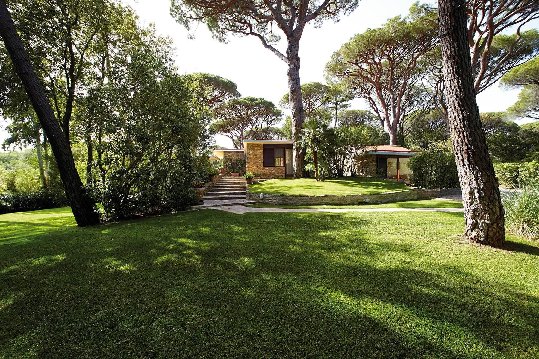 Beautiful villa in the middle of a pine tree forest and by the seaside - 31