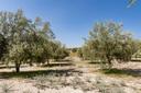 Villa di lusso appartata con vista sulla riserva naturale di Vendicari, in vendita, Noto | Sotheby’s Realty Italy - 31