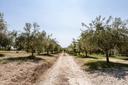 Villa di lusso appartata con vista sulla riserva naturale di Vendicari, in vendita, Noto | Sotheby’s Realty Italy - 44
