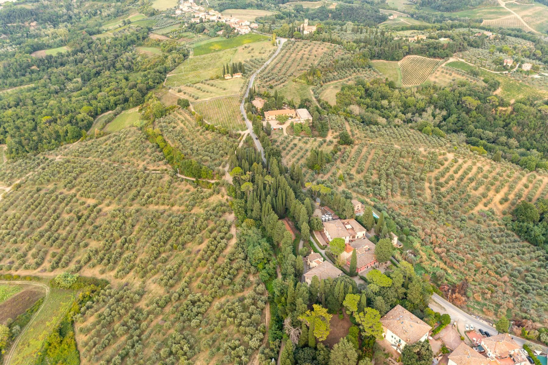 Exceptionnel domaine vinicole avec reserve de chasse de  dans le Chianti Florentin - 6
